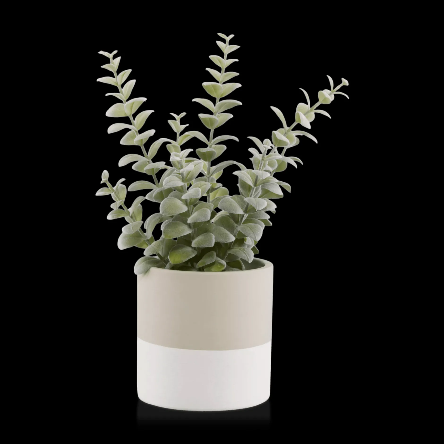 Apple Succulent in Two-Toned Ceramic Pot Artificial Plants