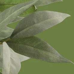 Clearance Aritificial Eucalyptus Plant in Ceramic Pot Artificial Plants