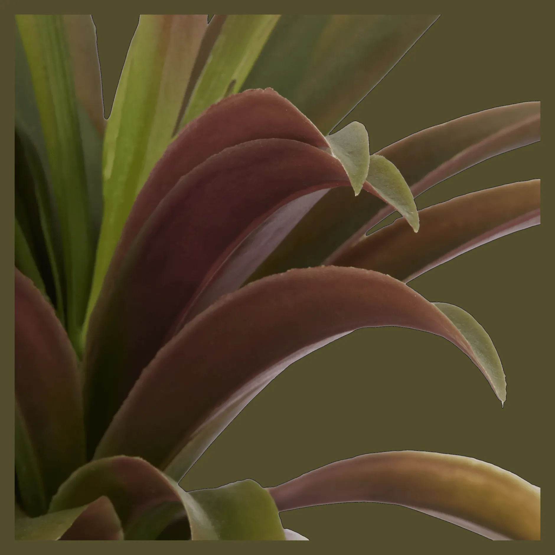 Clearance Artificial Agave Plant in Ribbed Pot Artificial Plants