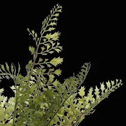 Artificial Fern in Ceramic Pot Artificial Plants