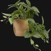 Outlet Artificial Fittonia in Wood Pot Artificial Plants