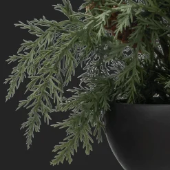 Sale Artificial Juniper in Pot Artificial Plants