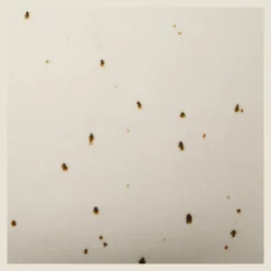 Hot Artificial Plant in Beige Speckled Pot Artificial Plants