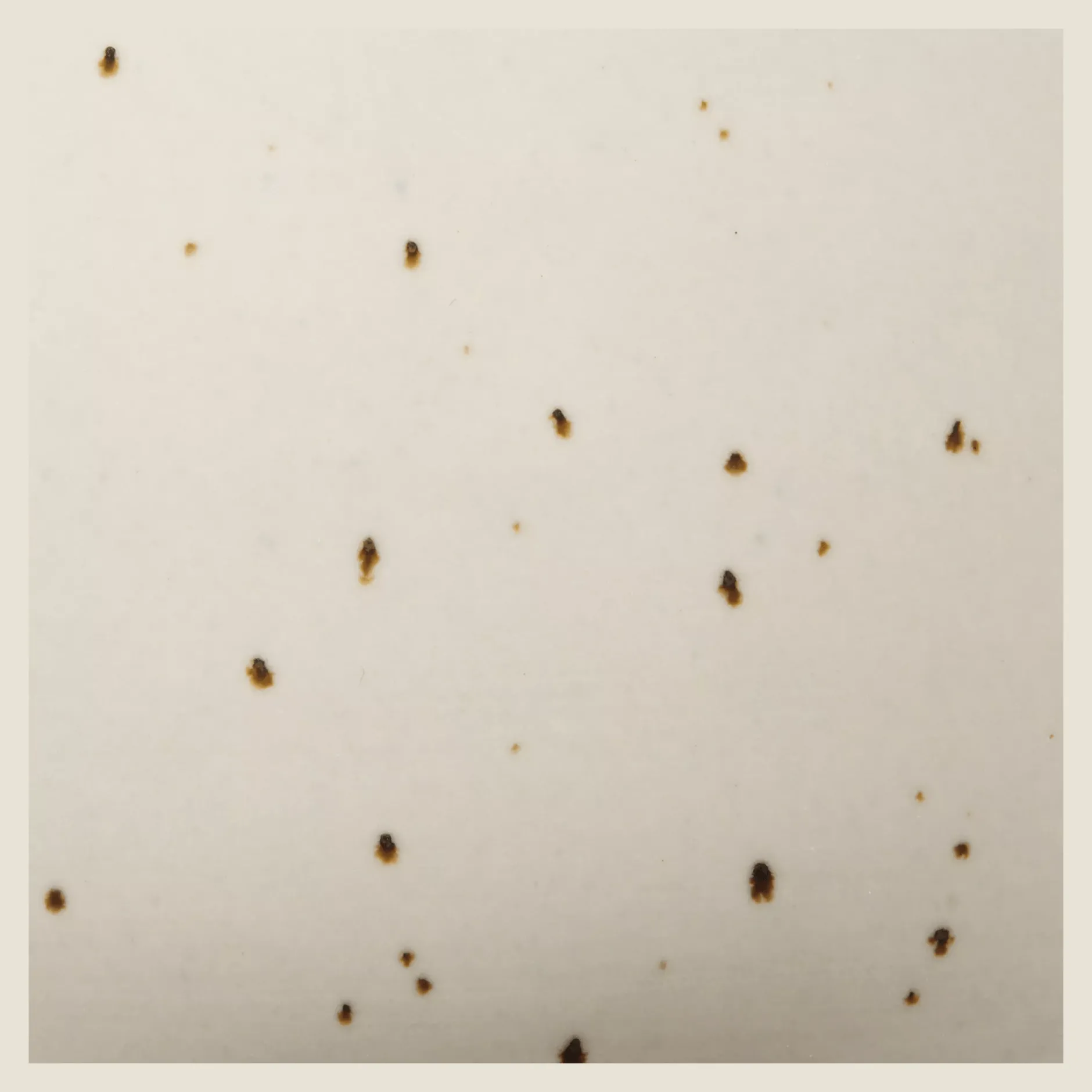 Hot Artificial Plant in Beige Speckled Pot Artificial Plants