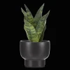 Hot Artificial Plant in Black Matte Ceramic Pot Artificial Plants
