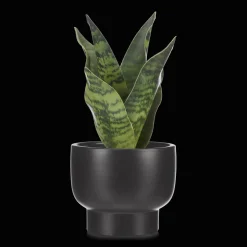 Hot Artificial Plant in Black Matte Ceramic Pot Artificial Plants