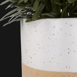 Online Artificial Plant in Ceramic Pot Artificial Plants
