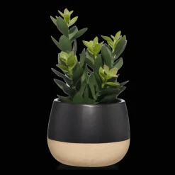 Online Artificial Plant in Colour-Block Pot Artificial Plants