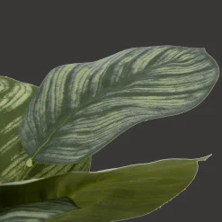 Best Artificial Plant in Striped Ceramic Pot Artificial Plants