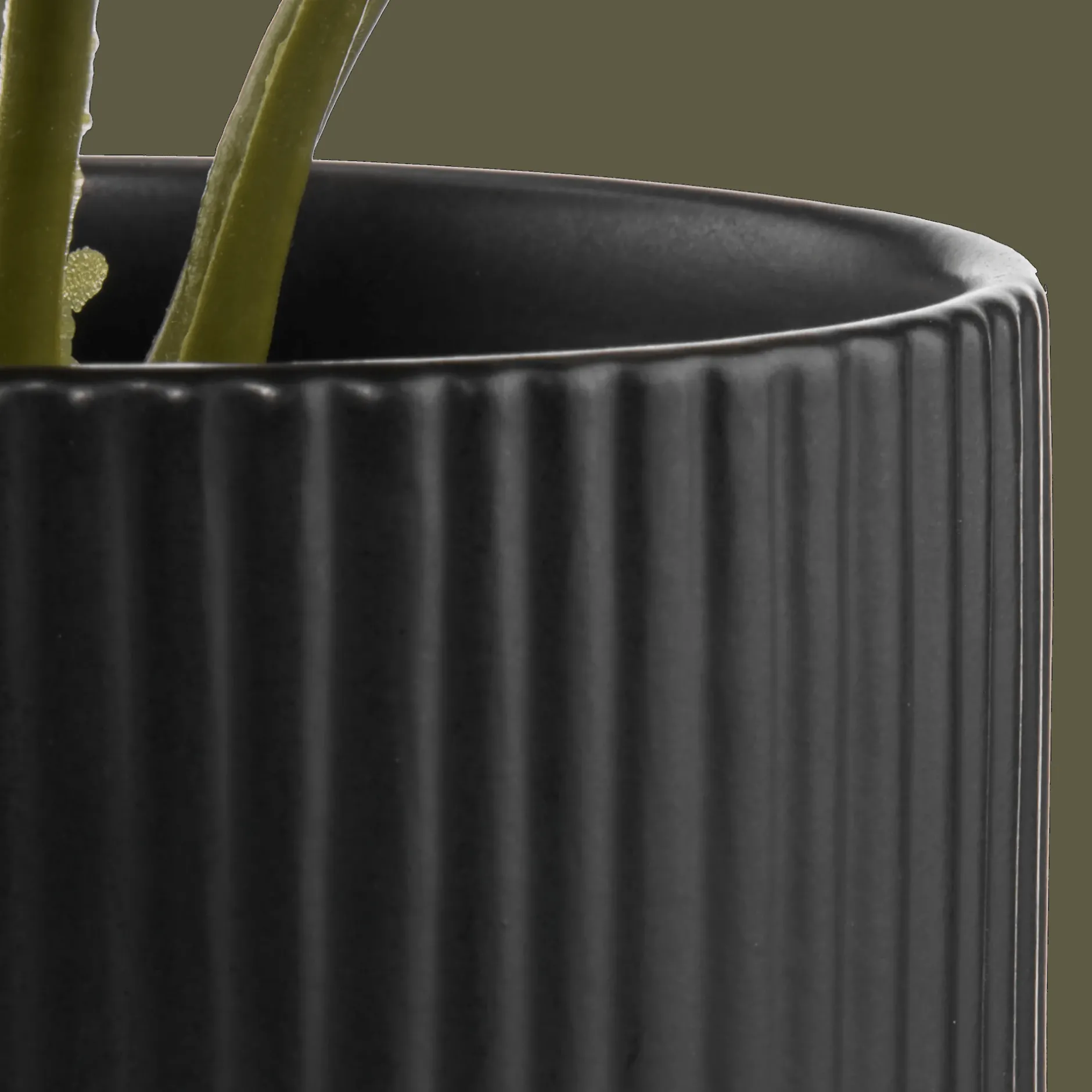 Best Artificial Plant in Striped Ceramic Pot Artificial Plants