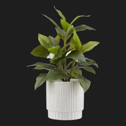 Sale Artificial Plant in Striped Pot Artificial Plants