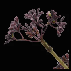 Clearance Artificial Purple Hemlock Flower Branches|Artificial Flowers
