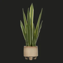 Clearance Artificial Yucca Leaf in Ceramic Pot Artificial Plants