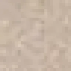 Discount Beige Waverly Decorative Lumbar Pillow Decorative Throw Pillows