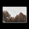 New Birds over Fall Forest Printed Canvas Printed & Photography Wall Art Canvases