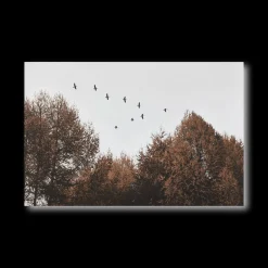 New Birds over Fall Forest Printed Canvas Printed & Photography Wall Art Canvases