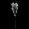 Best Black Pampas Stem Branches|Artificial Flowers