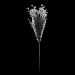Best Black Pampas Stem Branches|Artificial Flowers