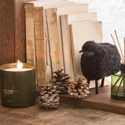 Hot Boreal Forest Candle Candles & Candle Stick Holders