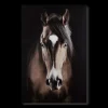 Online Brown Horse Printed Canvas Printed & Photography Wall Art Canvases