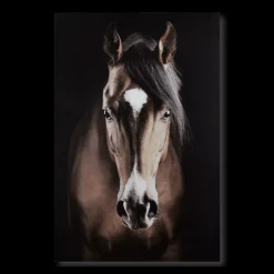 Online Brown Horse Printed Canvas Printed & Photography Wall Art Canvases
