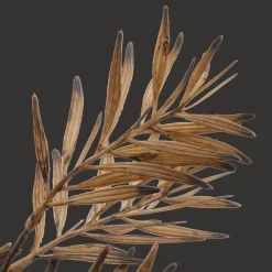 Best Brown Wild Leaves Stem Branches|Artificial Flowers