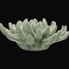 Online Ceramic Succulant Home Decorative Items & Objects