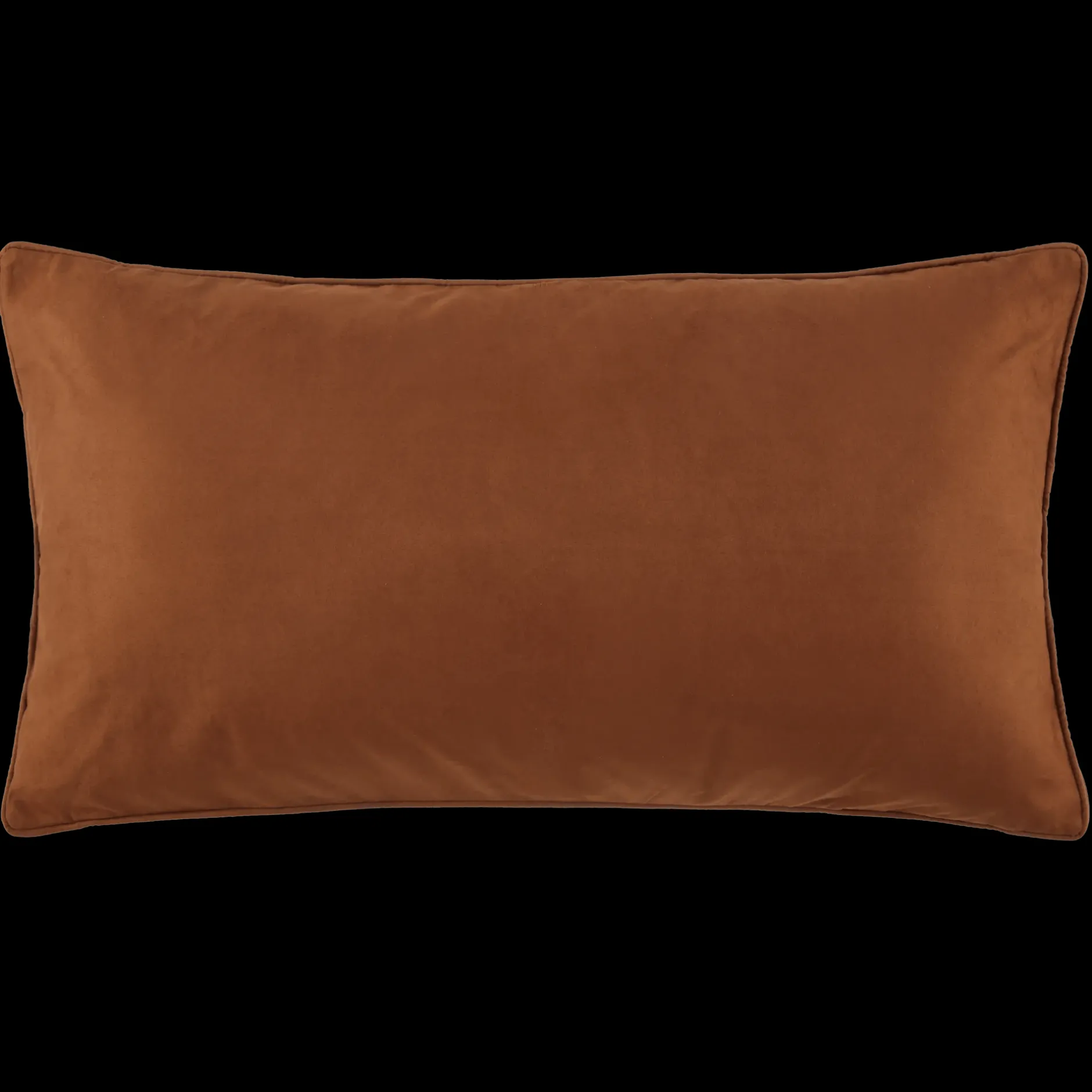 Clearance Clifford Decorative Lumbar Pillow Decorative Throw Pillows