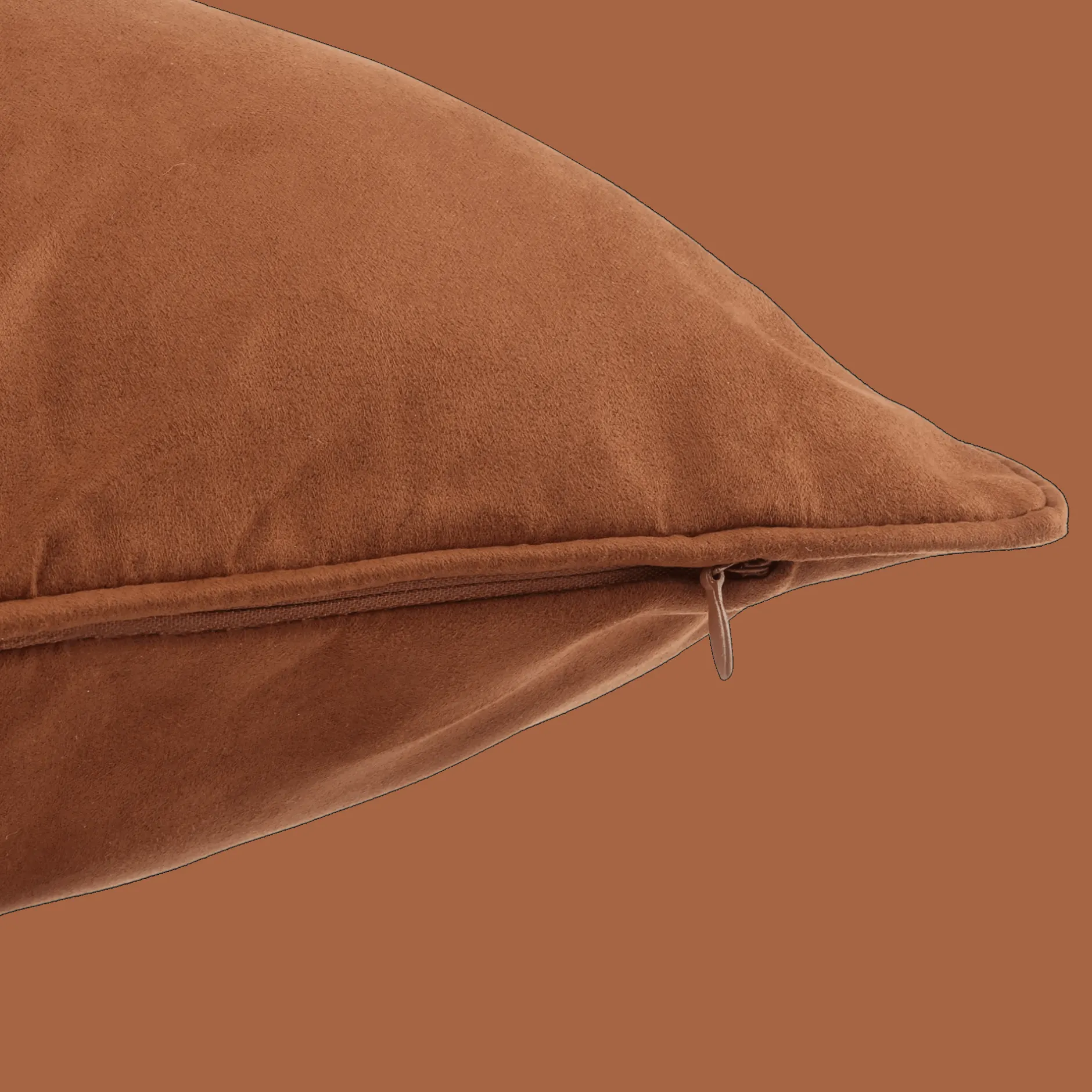 Clearance Clifford Decorative Lumbar Pillow Decorative Throw Pillows