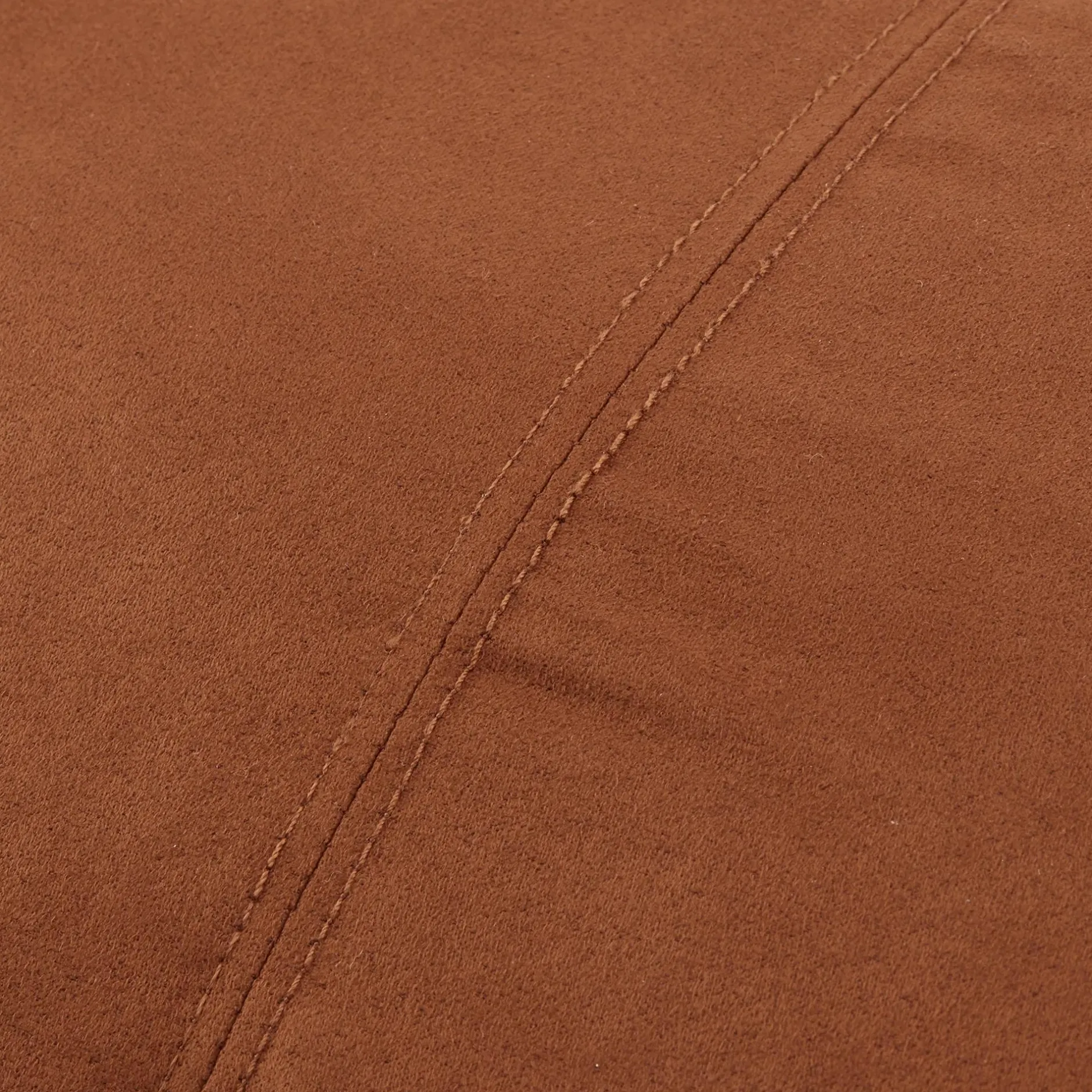 Clearance Clifford Decorative Lumbar Pillow Decorative Throw Pillows