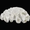 Discount Decorative Coral Home Decorative Items & Objects