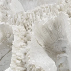 Discount Decorative Coral Home Decorative Items & Objects