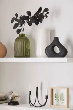 Outlet Decorative Stems in Glass Dome Home Decorative Items & Objects