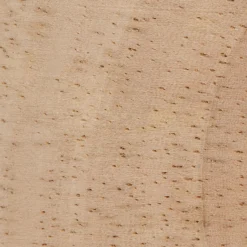 Discount Dried Flowers Glass Dome Home Decorative Items & Objects