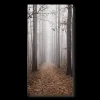 New Fall Passage Printed Canvas Printed & Photography Wall Art Canvases
