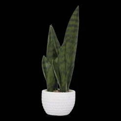 Outlet Faux Rattan Ceramic Pot with Artificial Plant Artificial Plants