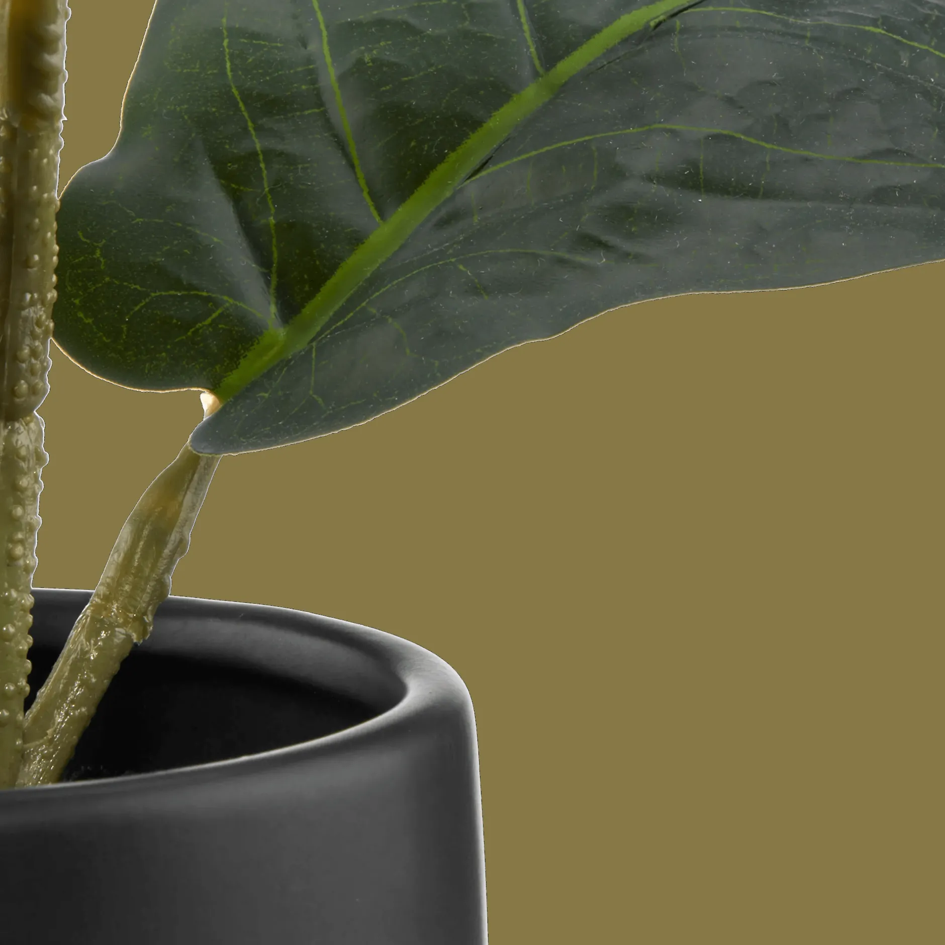 Ficus in black ceramic pot Artificial Plants