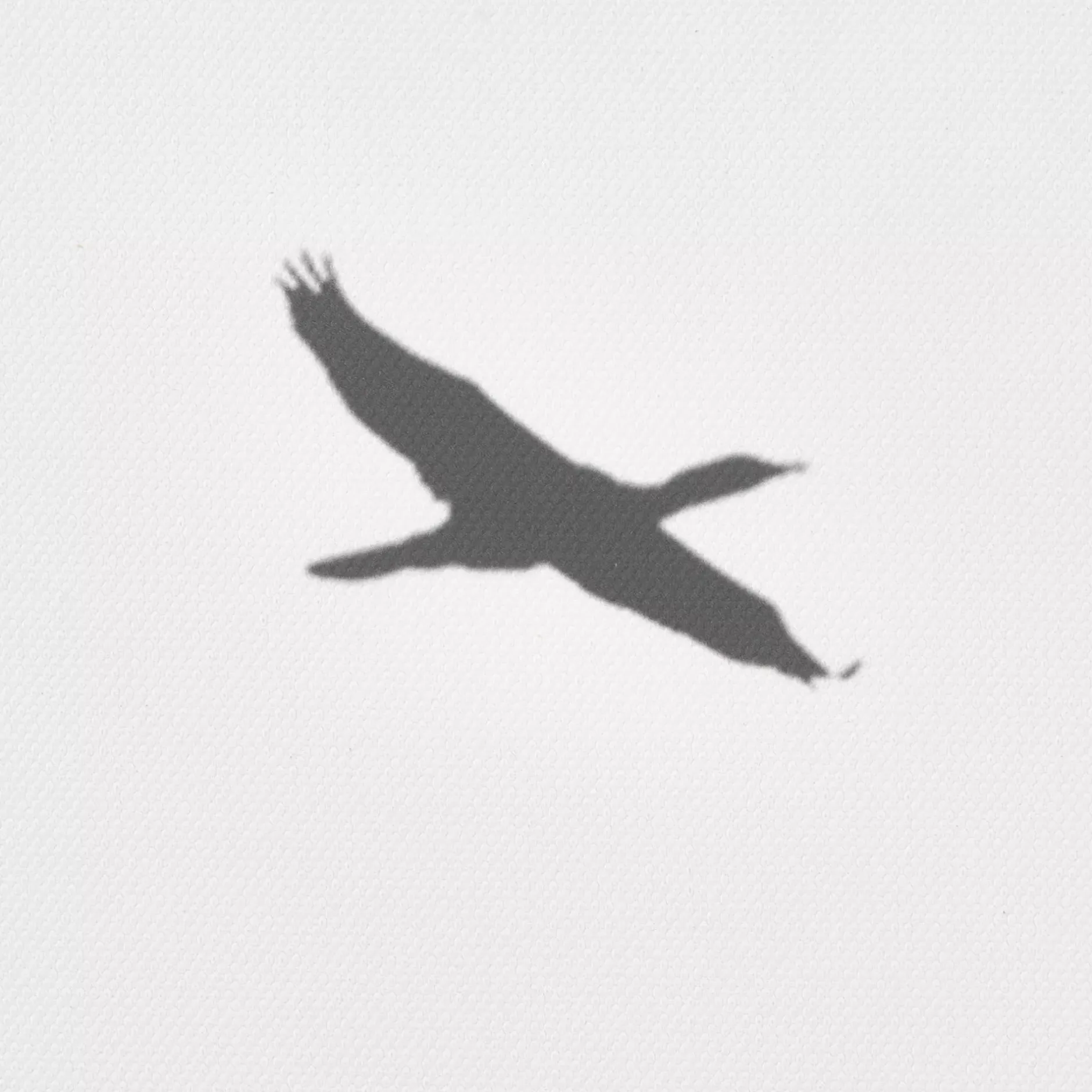 Best Flock of Birds Framed Canvas Printed & Photography Wall Art Canvases