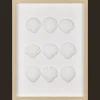 Best Framed Art 3D Shells Bathroom Wall Decor