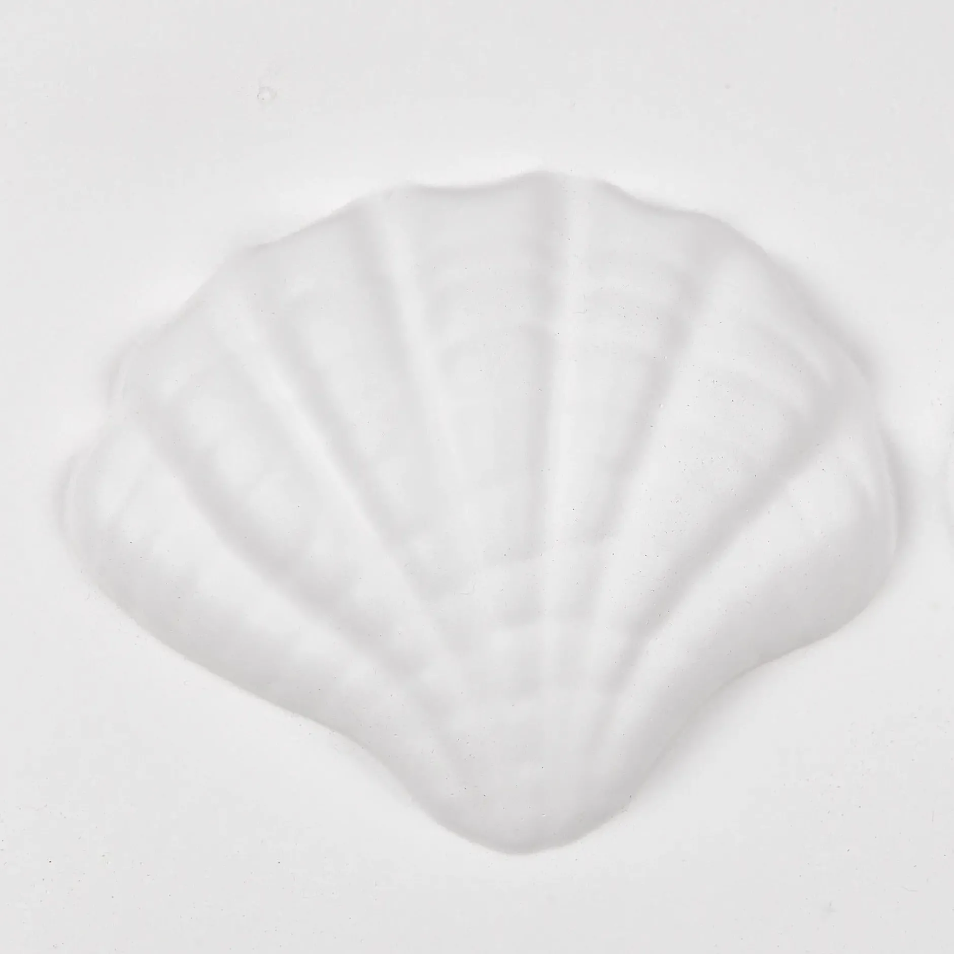 Best Framed Art 3D Shells Bathroom Wall Decor