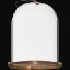 Best Glass Dome with Wood Base Home Decorative Items & Objects