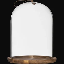 Best Glass Dome with Wood Base Home Decorative Items & Objects