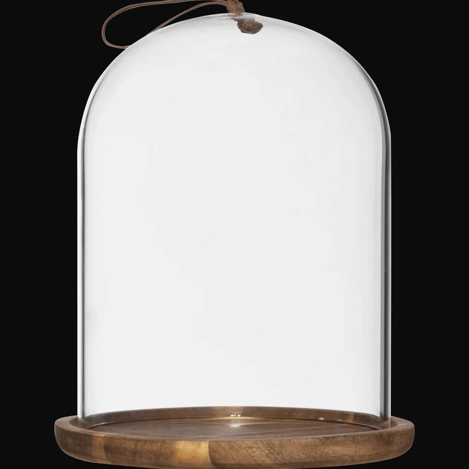 Best Glass Dome with Wood Base Home Decorative Items & Objects