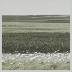 Clearance Green Landscape Framed Art Oil Paintings