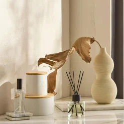 Hot Green Tea Reed Diffuser Candles & Candle Stick Holders