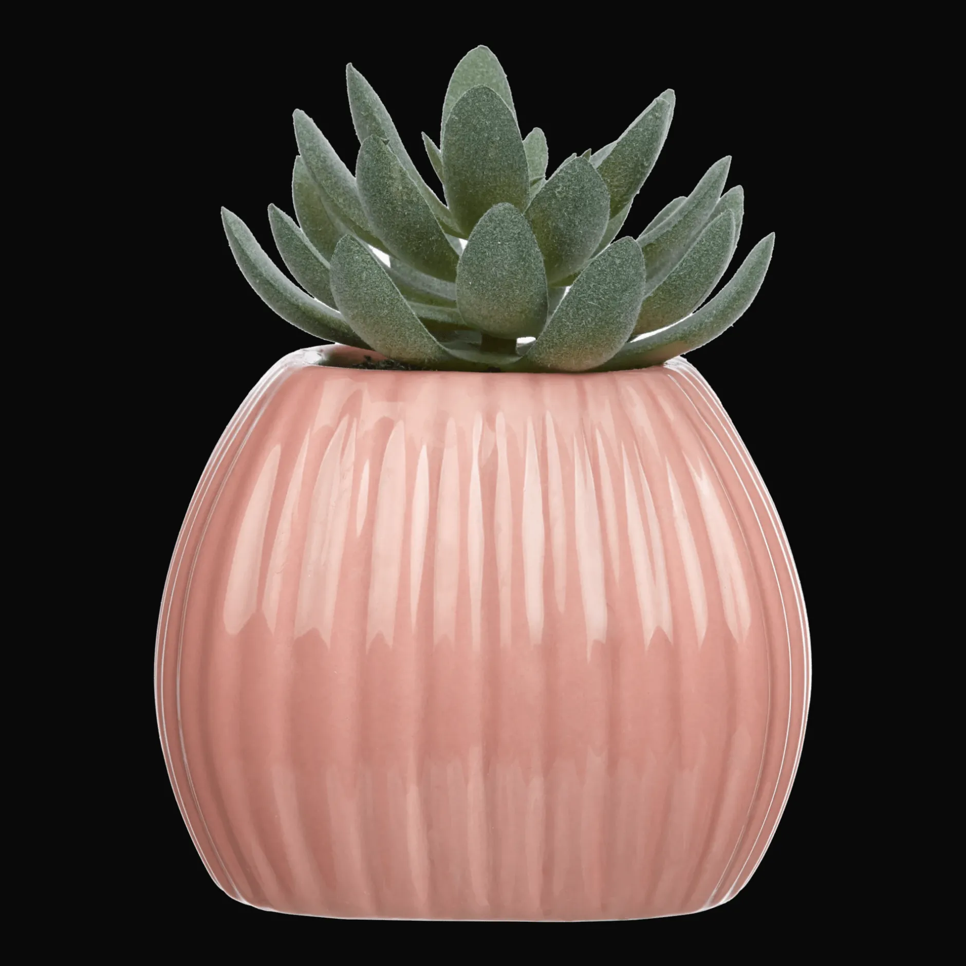 Online Greenery in Pink Ribbed Vase Junior Decorative Accessories