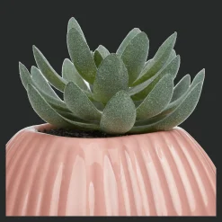 Online Greenery in Pink Ribbed Vase Junior Decorative Accessories