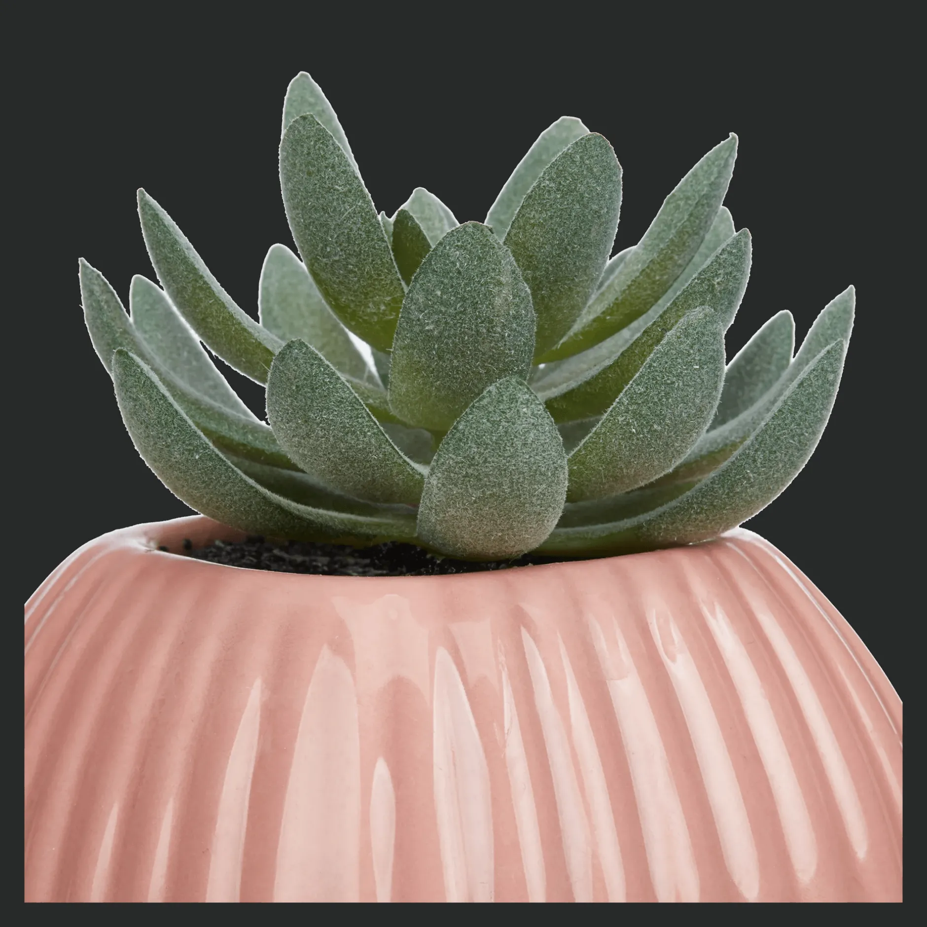 Online Greenery in Pink Ribbed Vase Junior Decorative Accessories