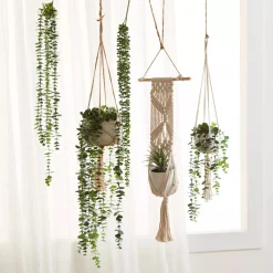 Hot Hanging Eucalyptus Branches|Artificial Flowers
