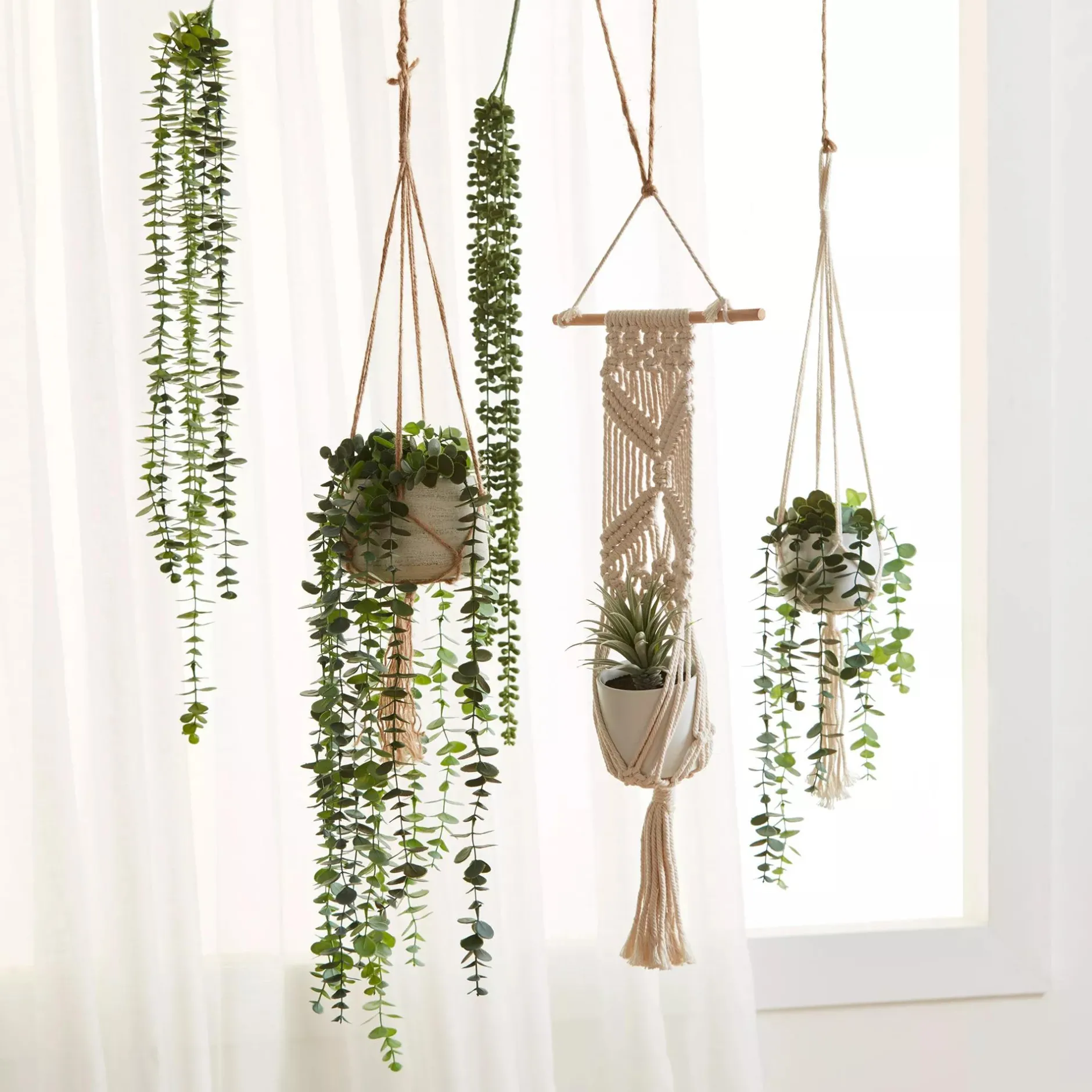 Hot Hanging Eucalyptus Branches|Artificial Flowers